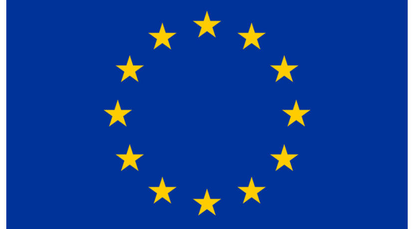E-Government - grenzüberschreitendes EU-Verwaltungsportal geplant