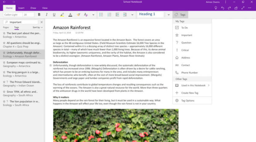 Microsoft Office 2019 ohne Notiztool OneNote